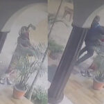 देवरिया, देवरिया न्यूज, देवरिया यूपी 52, देवरिया सदर, महिला सफाईकर्मी, ग्राम प्रधान, भारत स्वच्छ मिशन