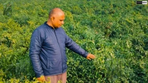 Ghazipur News: कंपनी की नौकरी छोड़ शुरू की खेती, और तीन महीने में कमाए लाखों रुपए!