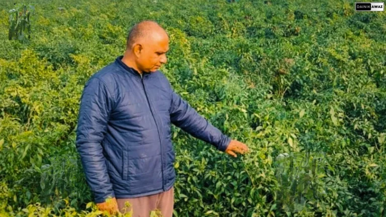 Ghazipur News: कंपनी की नौकरी छोड़ शुरू की खेती, और तीन महीने में कमाए लाखों रुपए!