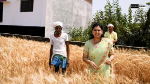 Deoria News: गेहूं की कटाई पर जिलाधिकारी की नजर, सोन्दा में हुआ पैदावार का परीक्षण