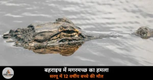 UP News: सरयू में मगरमच्छ के हमले में 12 वर्षीय बच्चे की मौत — नर्सरी लगाने के बाद हाथ धो रहा था, चाचा खींचते रहे