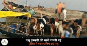 Ghazipur News: गंगा नदी में पकड़ी गईं पशुओं से लदी दो नावें, जांच में जुटी पुलिस